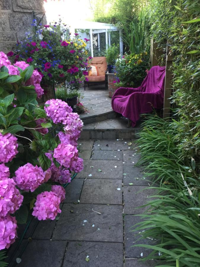 Penzance Seaside Studios מראה חיצוני תמונה